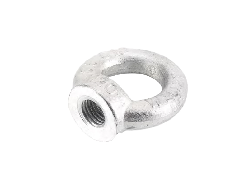 DIN582 EYE NUT